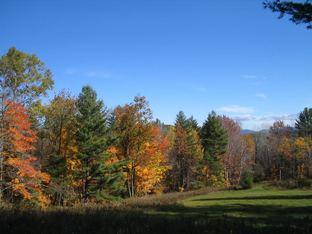 Vermont 