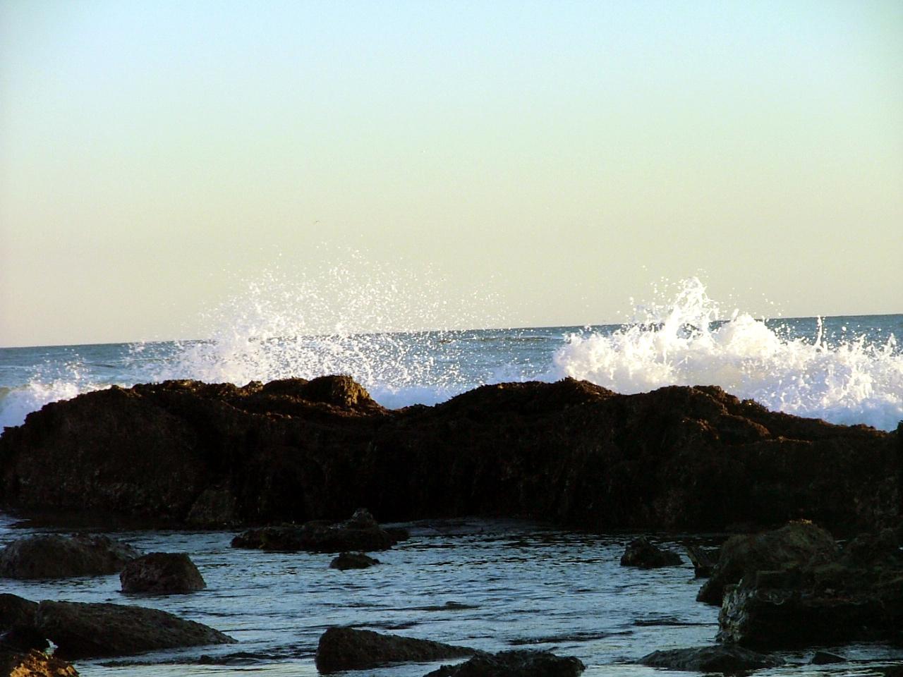 Tide Pool