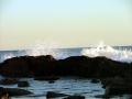 Tide Pool
