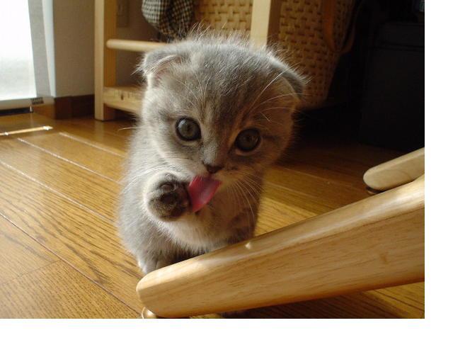 U Look Delish'