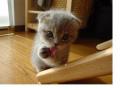 U Look Delish'