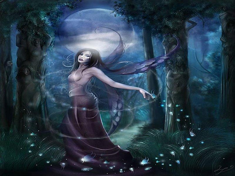 fairy in woods