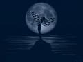 Full Moon & Fairy