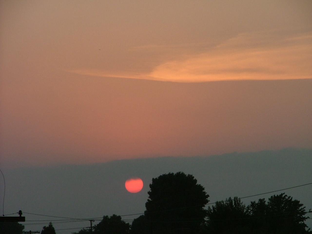 Sunburst