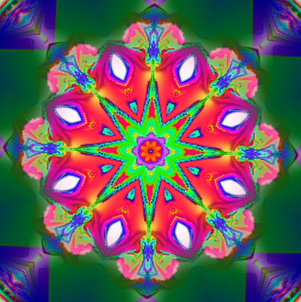 STELLAR BLOOM