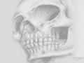 Large Skull