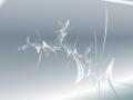 Fractal 