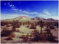 sinbad ranch