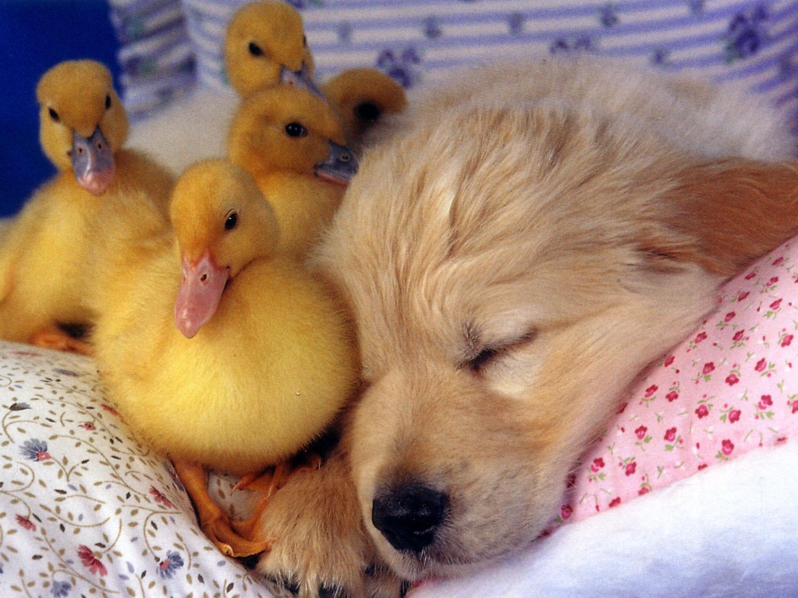 cutest thing ever