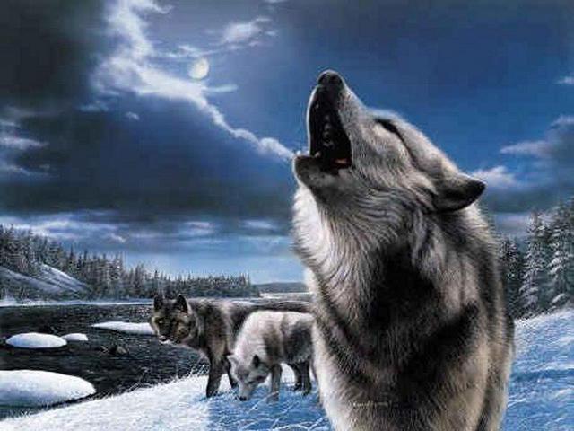 Wolves