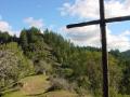 Beyond the Cross
