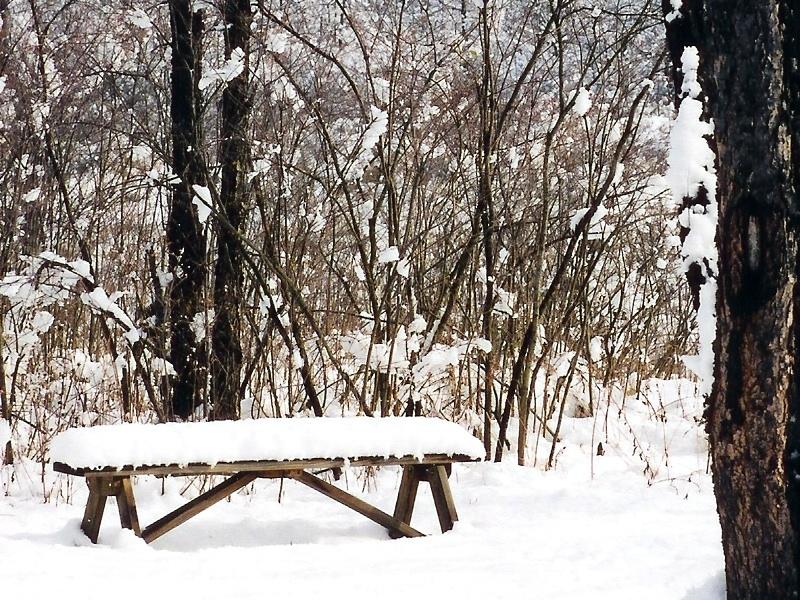 Bench