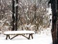 Bench
