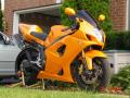 lambo orange 2004 GSXR 1000