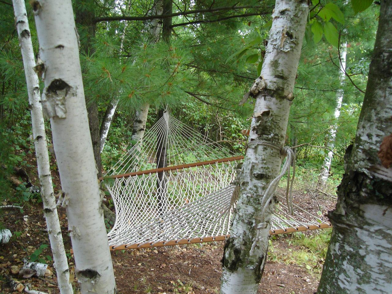 peaceful hammock in the woods