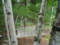 peaceful hammock in the woods
