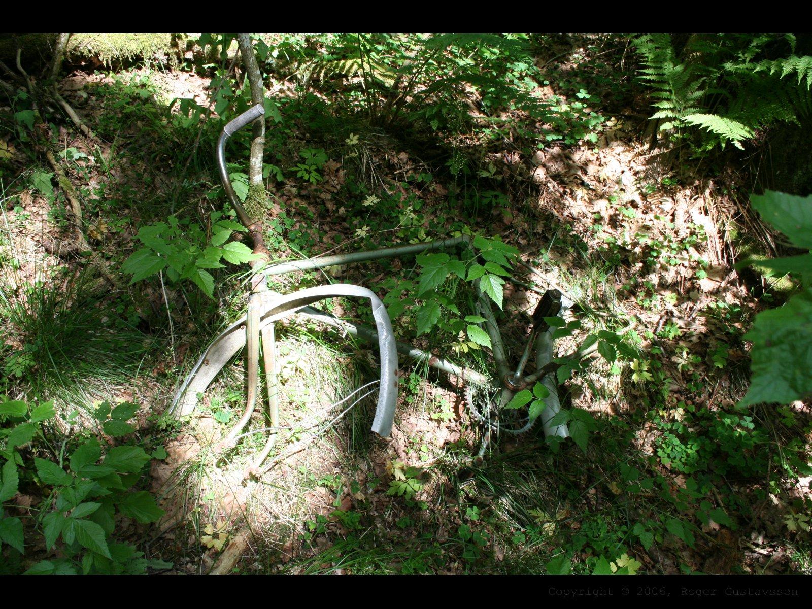 Old bike
