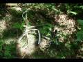 Old bike