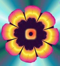 the flower