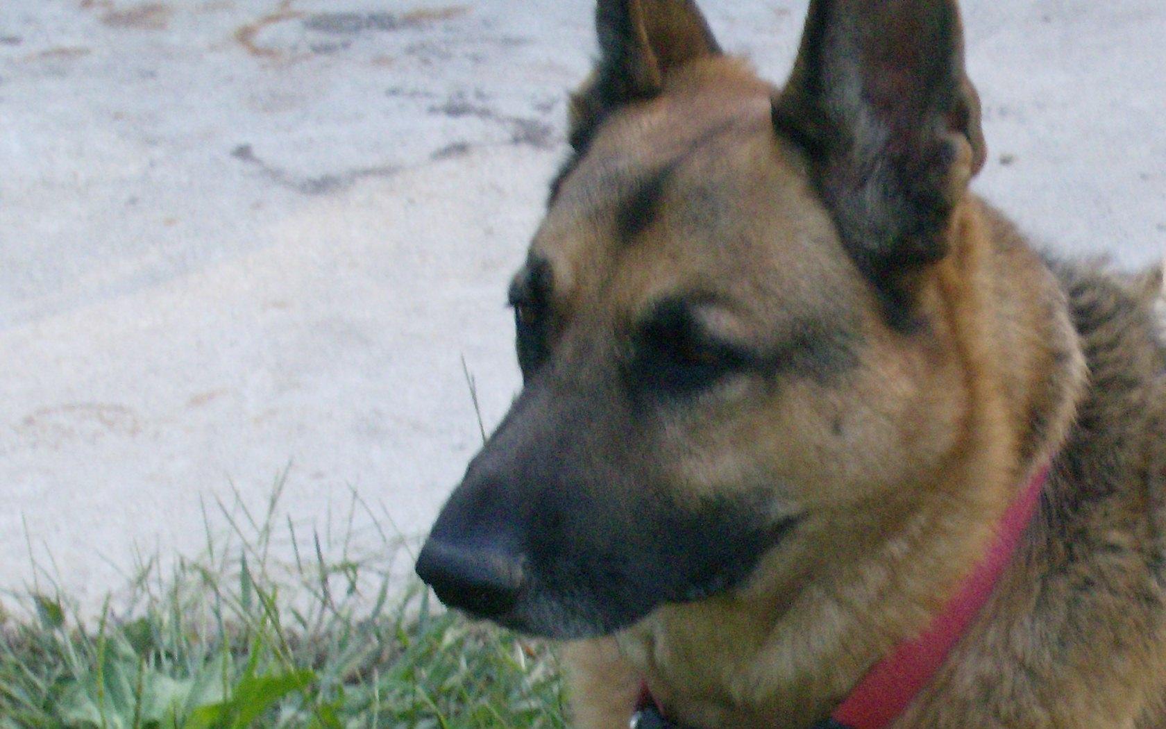 Paco