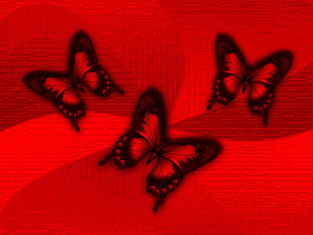 Red on Red Butterflies