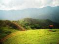 my aunt farm on the mountains