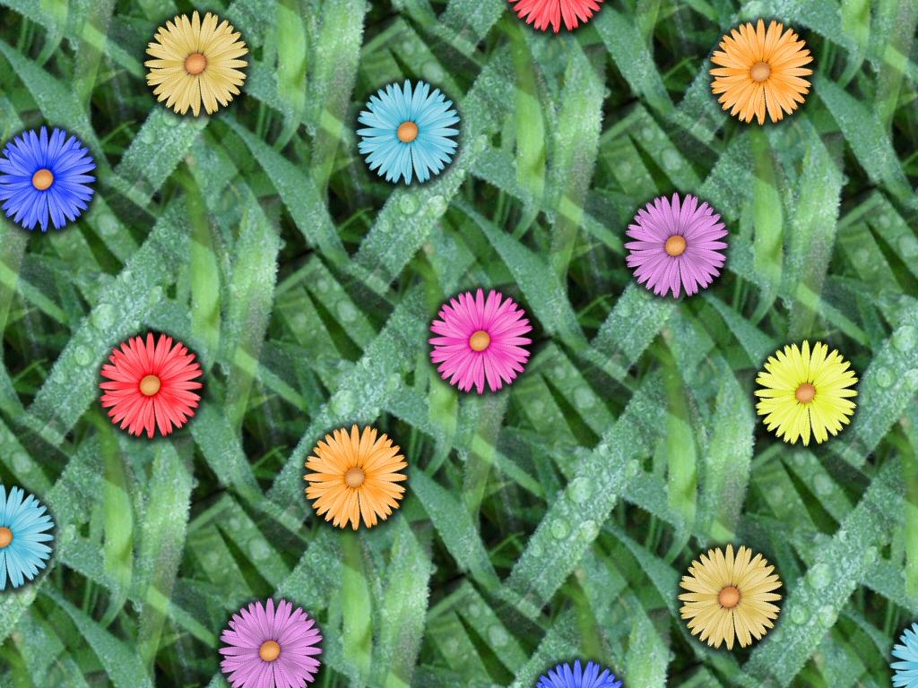 Flower Power