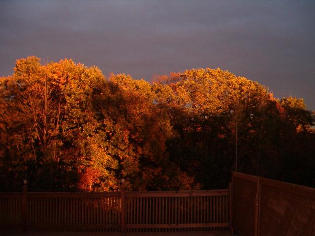 Autumn in the Poconos
