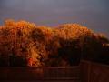 Autumn in the Poconos
