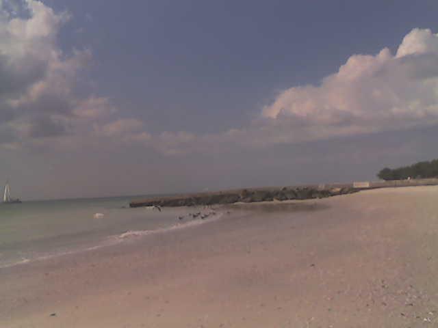 beautiful day at the beach in Bradenton, FL