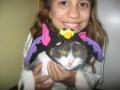 cat again