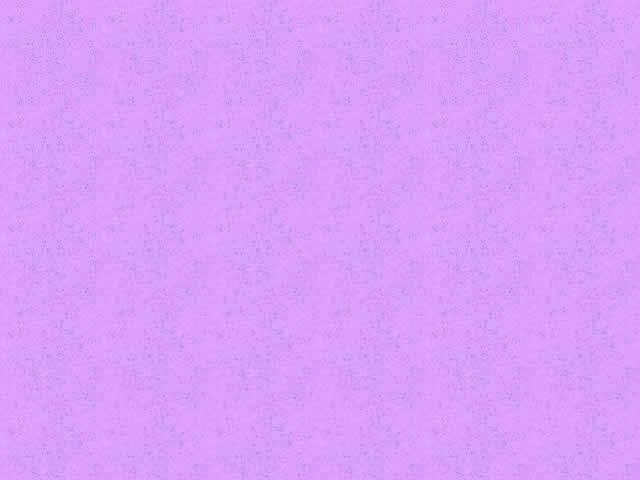 mi fondo