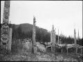 Haida Village Pacific NW