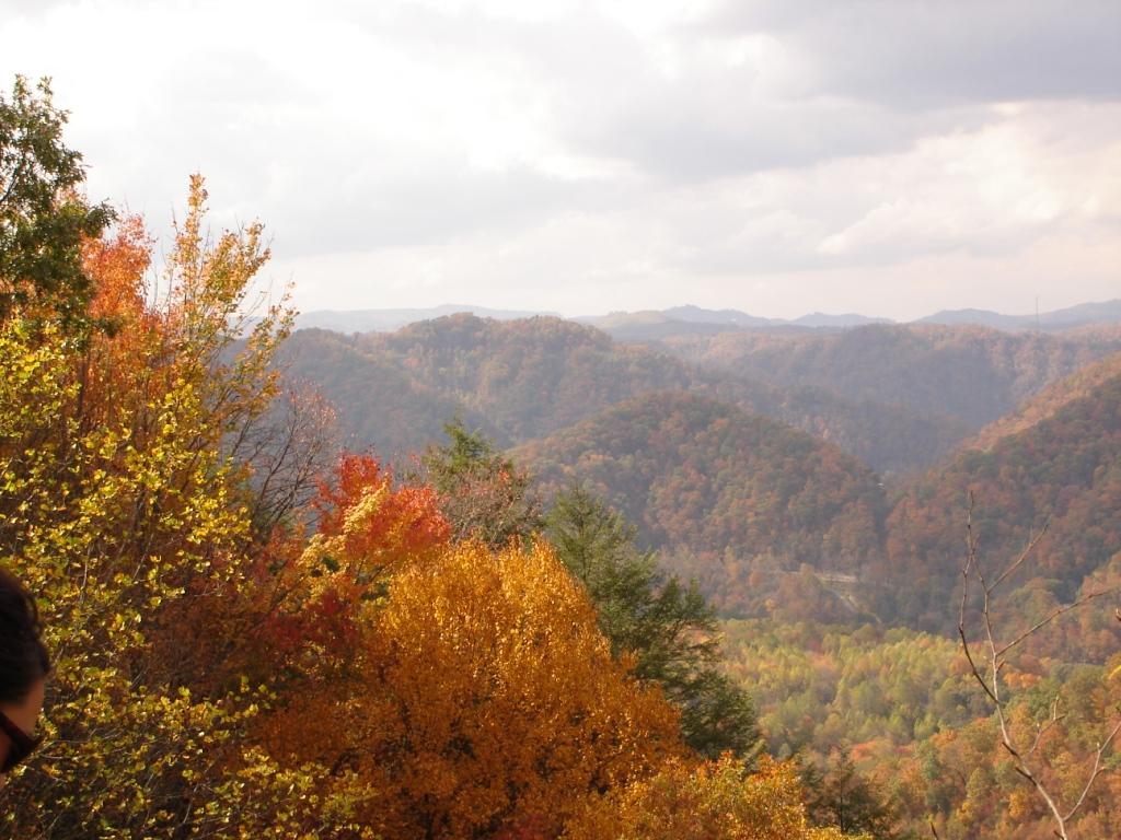 Mountain Overview