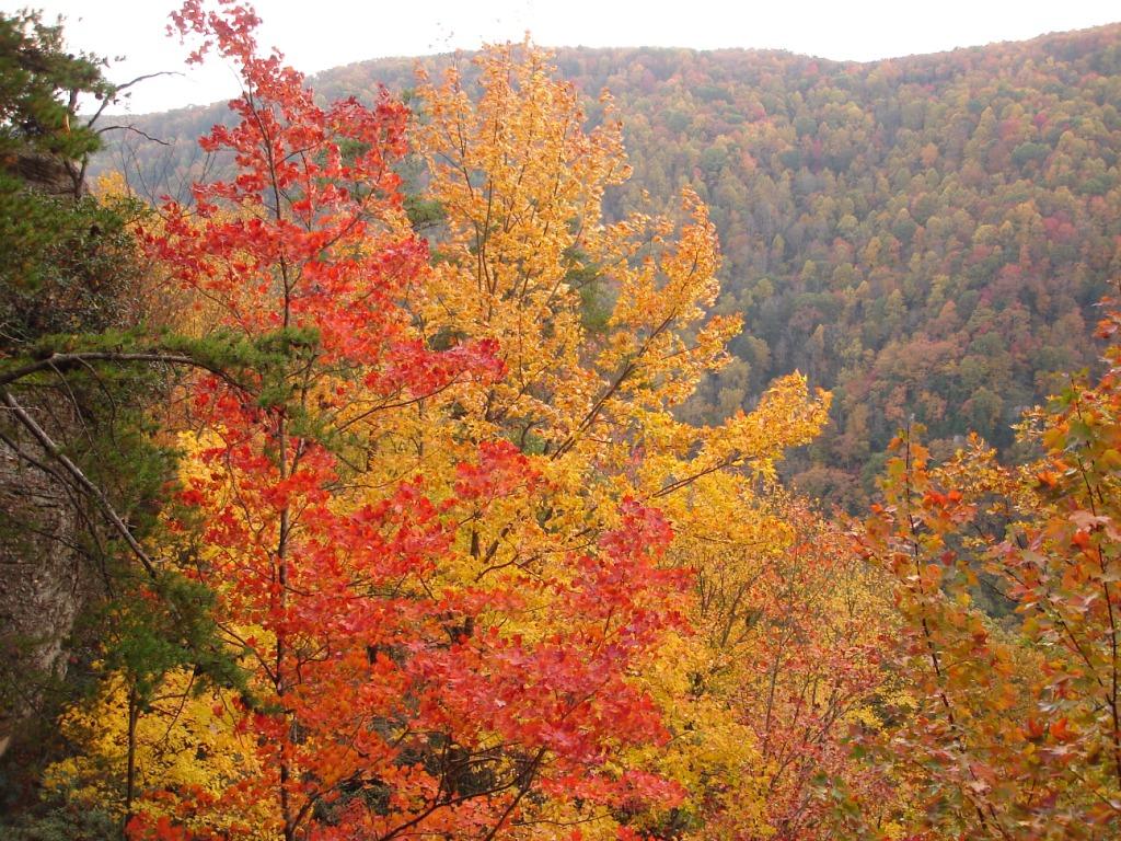 Colors Changing