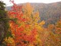 Colors Changing