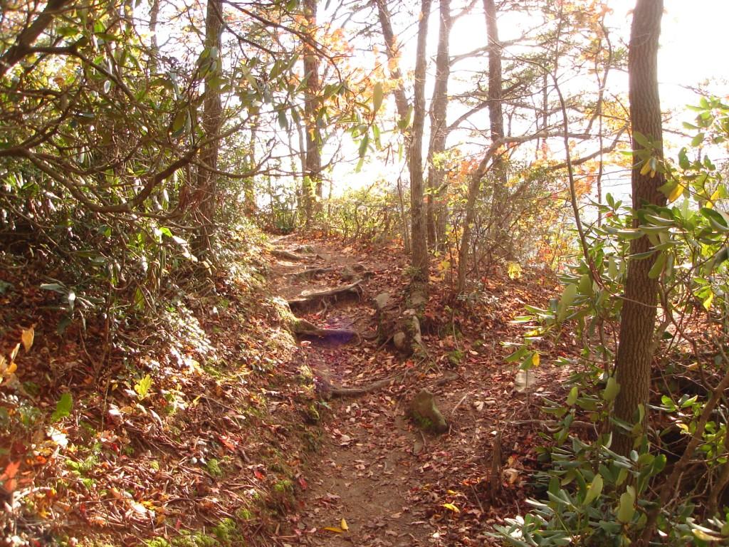 The Path