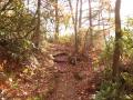 The Path