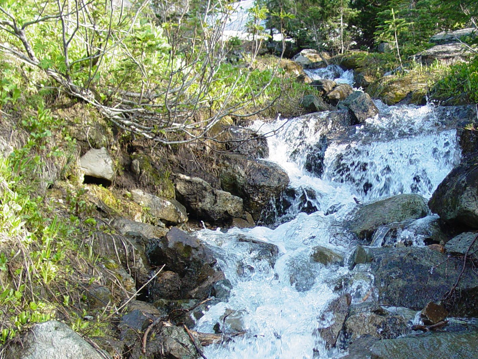 Waterfall in the woods