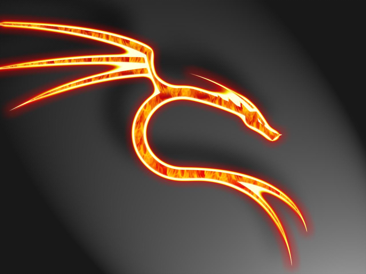 Flaming Dragon on Carbon Fiber
