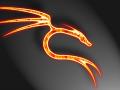 Flaming Dragon on Carbon Fiber