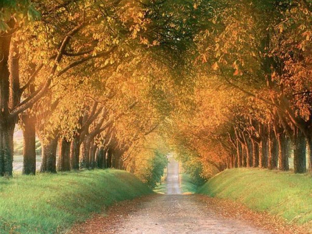 autumn in Germany