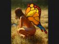 monarch butterfly