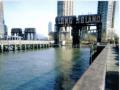 New York from the docks