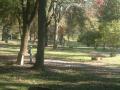 pequea creek campground
