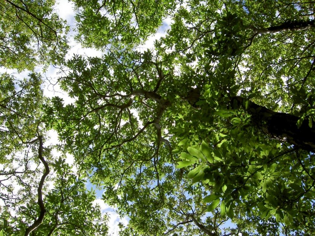 look up