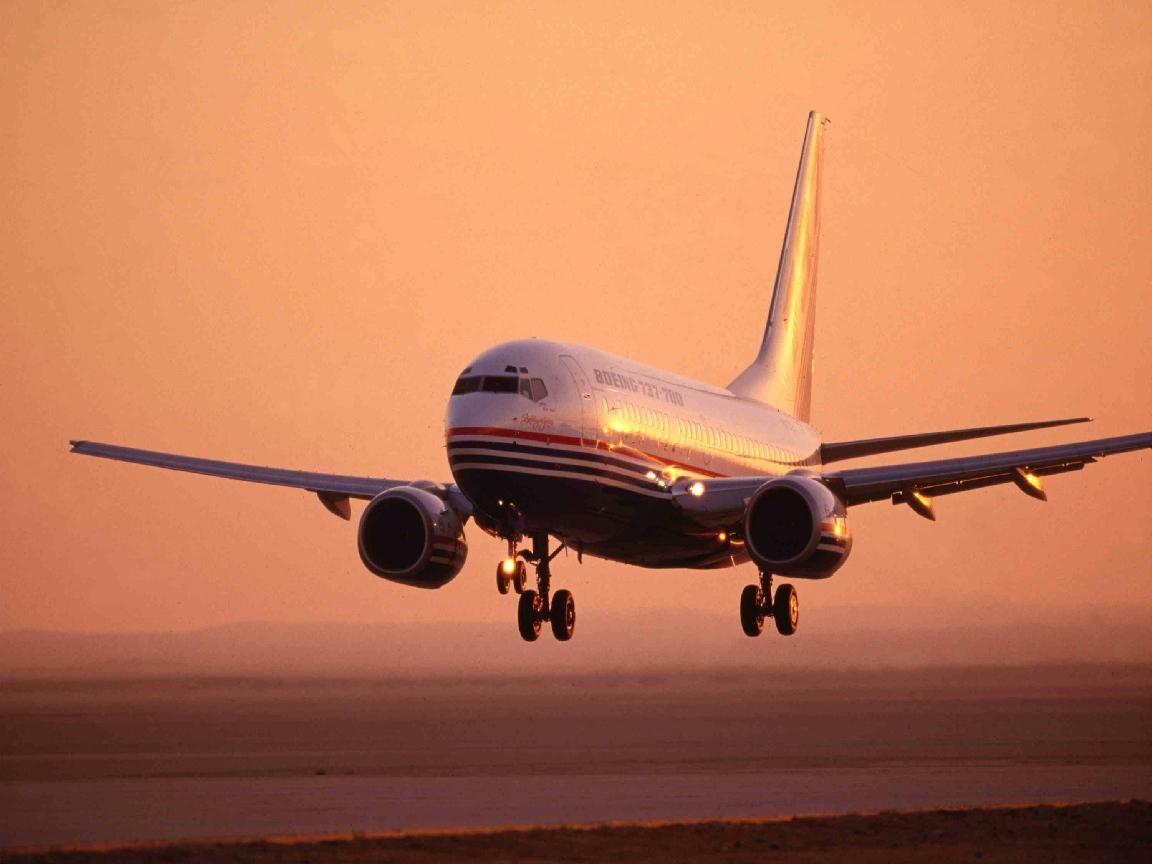 b737 landing