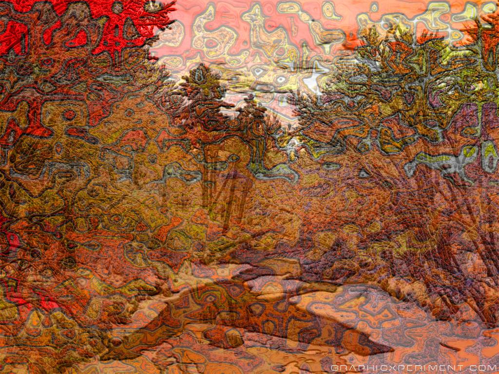 GraphicXperiment 306