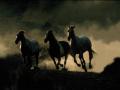 Horses running in night dust