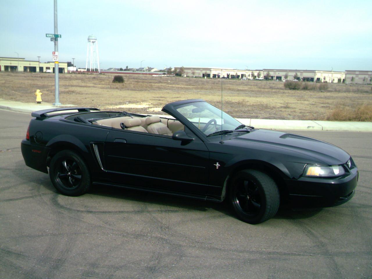 mustang